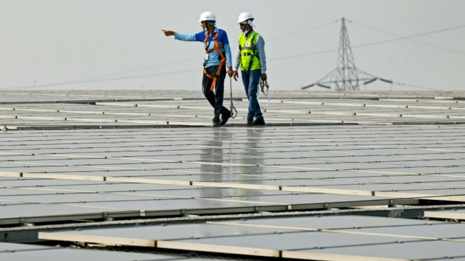 Green goals versus growth needs: India's climate scorecard