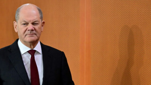 Scholz: Vertreibungsplan ist "Angriff auf unsere Demokratie" - Gro&szlig;demos geplant