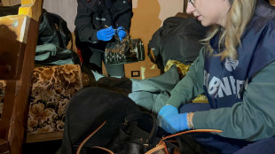 Furti da Valentino e Vuitton, recuperate scarpe e borse