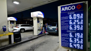 Convoqu&eacute;s &agrave; Washington sur l'envol&eacute;e de l'essence, les raffineurs sans solution miracle