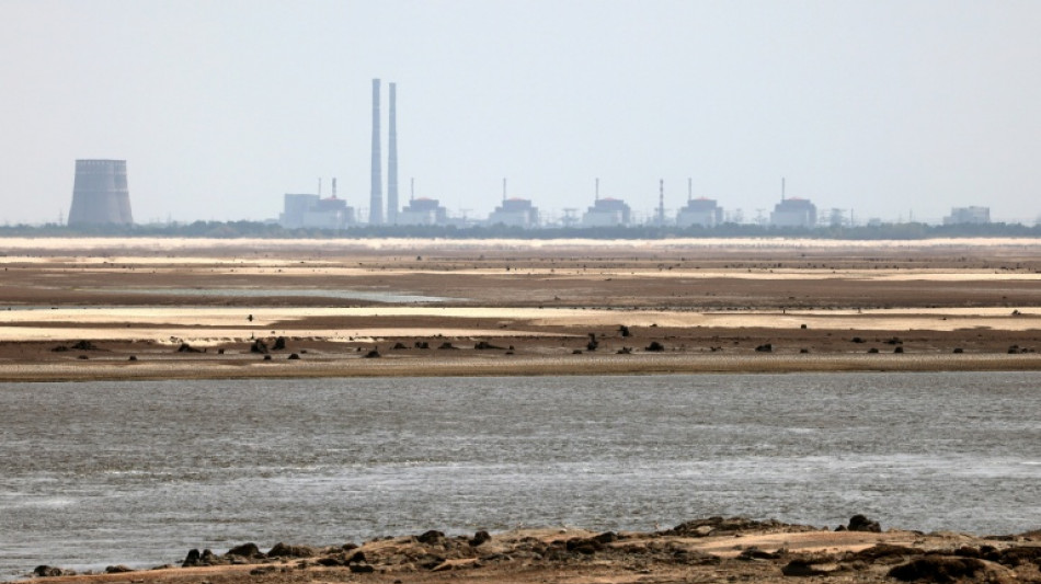 La central nuclear ucraniana de Zaporiyia se reparar&aacute; "pronto", seg&uacute;n el OIEA