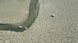 2025 en passe d'être une des trois années les plus chaudes