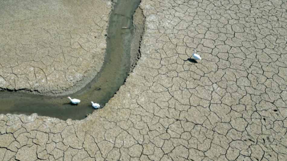 NGOs kritisieren Ergebnisse von Klimazwischenverhandlungen in Bonn als unzureichend