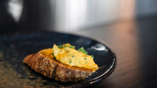 'Agricultores do futuro' criam proteína comestível a partir do ar e eletricidade na Finlândia