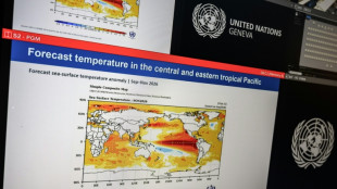 L'actuel El Ni&ntilde;o pourrait &ecirc;tre "le plus puissant" depuis quatre d&eacute;cennies, met en garde l'ONU