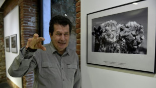 Montrer en images l'impact de l'humain sur la nature, pr&eacute;cieuse et fragile