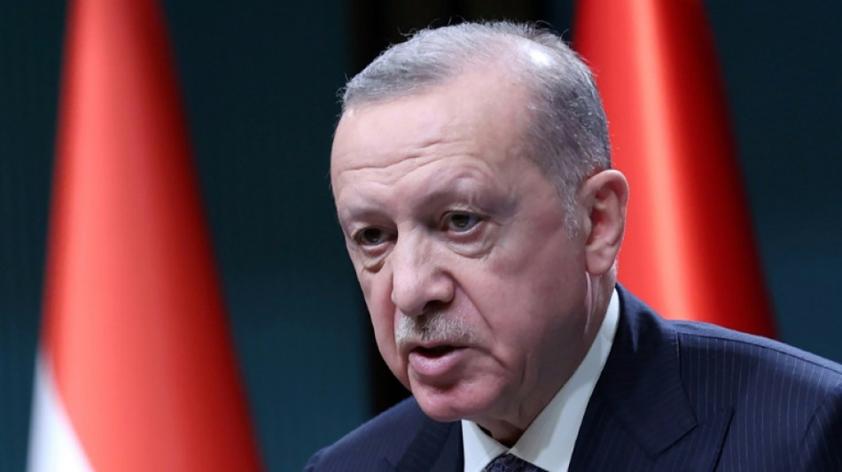 Erdogan intenta una mediaci&oacute;n entre Ucrania y Rusia mientras siguen los esfuerzos diplom&aacute;ticos europeos