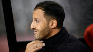 Tedesco, antiguo DT de B&eacute;lgica, nuevo entrenador del Fenerbah&ccedil;e turco