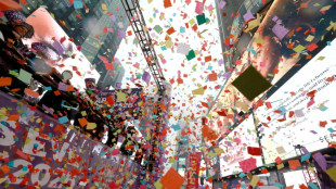 Le monde dit adieu &agrave; 2025, ann&eacute;e de la tr&ecirc;ve &agrave; Gaza et du retour de Trump