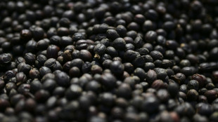 Trump signs order to lower tariffs on beef, coffee, other goods