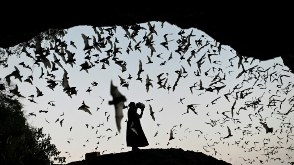 Une plan&egrave;te plus chaude, des animaux plus malades 