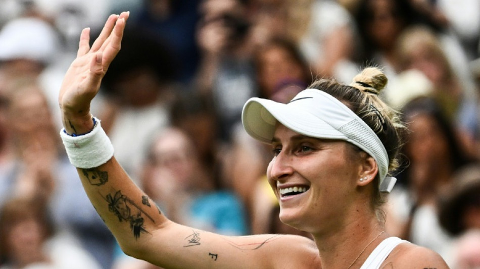 Game, set, cat: Vondrousova feline good at Wimbledon