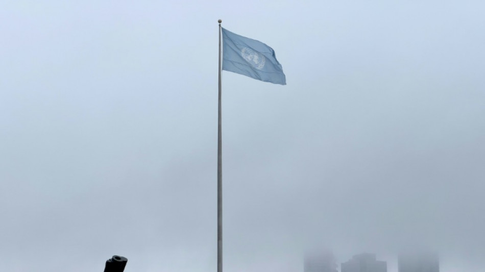 Los talibanes, satisfechos por la pr&oacute;rroga del mandato de la misi&oacute;n de la ONU en Afganist&aacute;n