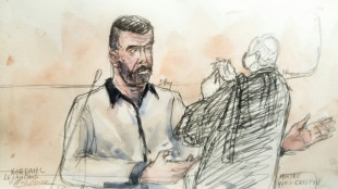 Au proc&egrave;s Lelandais, la parole aux avocats des parties civiles