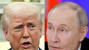 Trump e Putin pactuam tr&eacute;gua limitada, sem cessar-fogo total