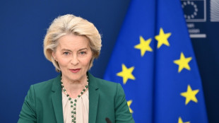 EU says age-check app 'ready' in push to protect children online