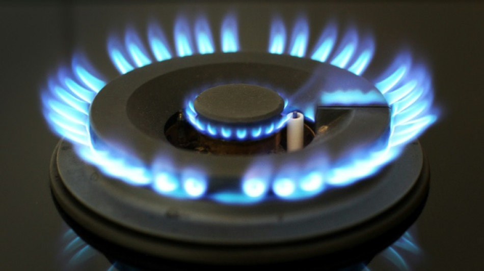 Kabinett beschlie&szlig;t Gas- und Strompreisbremse 