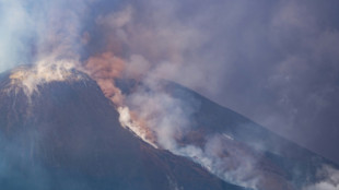 Massive plume of ash, gas spews from Italy's Mount Etna