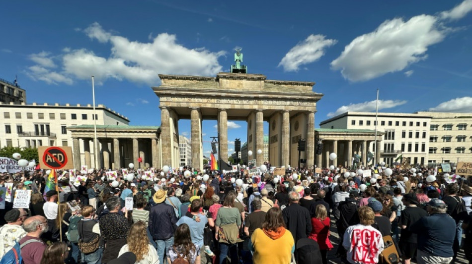 Miles de personas piden en Alemania la prohibici&oacute;n del partido de ultraderecha AfD