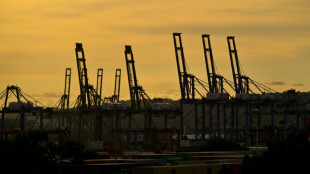 Hong Kong firm did not uphold Panama Canal ports contract: Panama audit