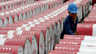 Il petrolio chiude in calo a New York a 58,07 dollari