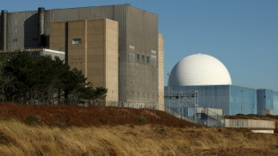Britische Regierung gibt grünes Licht für Bau von Atomkraftwerk Sizewell C