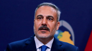 Außenminister muslimischer Staaten beraten über Friedensplan für Gazastreifen