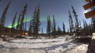 L'Antartide diventa sempre pi&ugrave; verde, di 10 volte in 40 anni