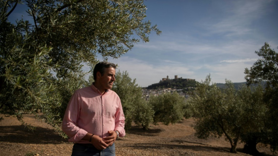 Avec la s&eacute;cheresse, la crainte d'une nouvelle "ann&eacute;e noire" pour l'olive espagnole