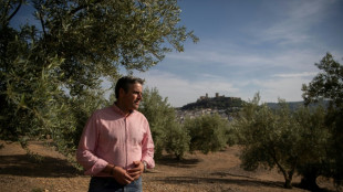 Avec la s&eacute;cheresse, la crainte d'une nouvelle "ann&eacute;e noire" pour l'olive espagnole