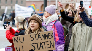 Greta Thunberg y 600 j&oacute;venes llevan a Suecia ante la justicia para pedir m&aacute;s medidas por el clima