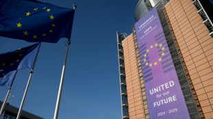 EU plans to slash red tape for medium-sized companies