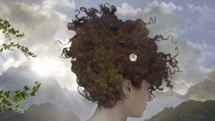 Giusto, vero o bugia? La risposta al Lucania Film Festival