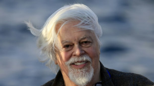 Le militant écologiste Paul Watson désormais libre de voyager à l'étranger, selon Sea Shepherd France