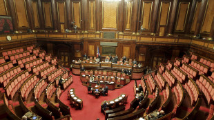 Il Senato approva il decreto Bollette, &egrave; legge