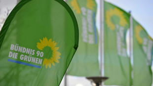 Str&ouml;bele-Nachfolgerin verzichtet auf neue Kandidatur - aus Protest gegen Gr&uuml;ne