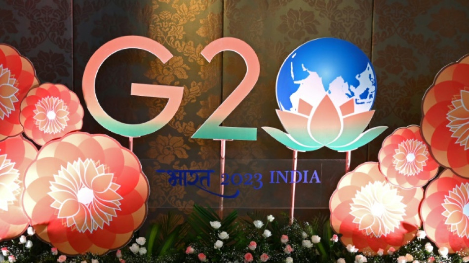 G20: les ministres de l'Environnement &eacute;chouent &agrave; trouver un accord sur les &eacute;missions