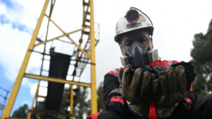 Exportaci&oacute;n de carb&oacute;n en Colombia se desploma mientras Petro proh&iacute;be vender a Israel