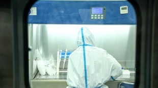 Un nouveau virus, Langya, identifi&eacute; en Chine, des dizaines de cas