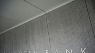 Dos entidades del BM destinan el r&eacute;cord de USD 75.000 millones en ayuda en 2022