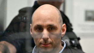 Au procès Jubillar, la cour entre dans les détails de l'enquête