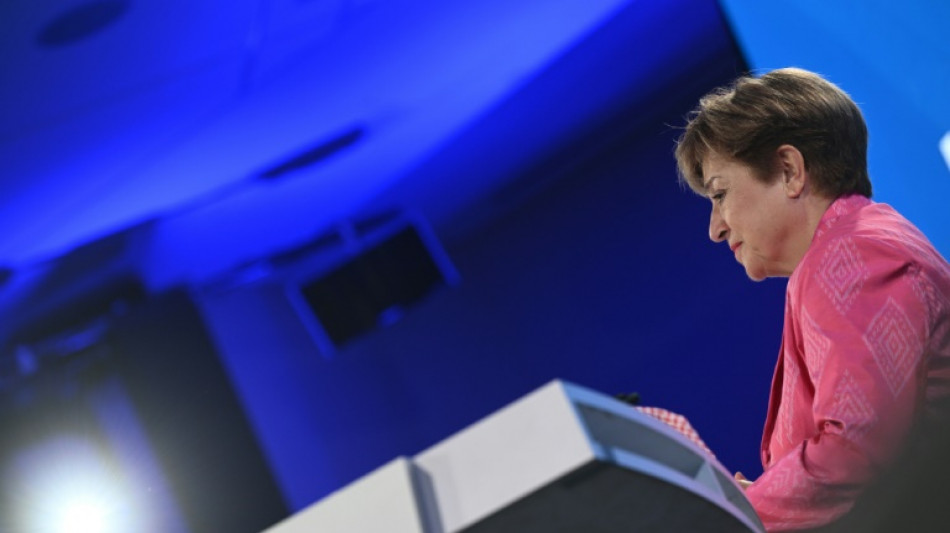 IMF chief hails 'constructive' Spring Meetings held under tariff uncertainty