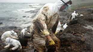 "Du fioul partout": il y a 20 ans, la mar&eacute;e noire du "Prestige" souillait les c&ocirc;tes de l'Espagne