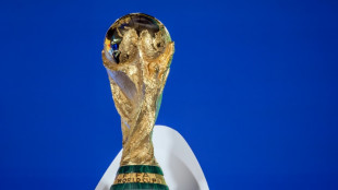 Mondial-2026/Qualifications: la France dans le groupe de l'Ukraine ou&nbsp;de la R&eacute;publique tch&egrave;que