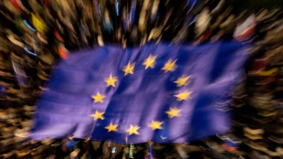 Studie vor EU-Wahl: Knapp die H&auml;lfte der Firmen macht sich offen gegen AfD stark