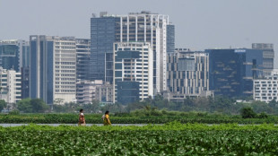 "Les reins de Calcutta", ces zones humides de l'Inde menac&eacute;es par l'expansion urbaine  