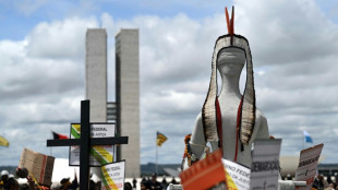 Miles de ind&iacute;genas brasile&ntilde;os exigen al Congreso que proteja sus tierras
