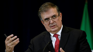 M&eacute;xico busca liberar de carbono su econom&iacute;a hacia 2035, asegura el canciller mexicano