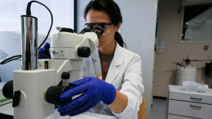 Dna antico svela l'evoluzione di batteri che causano febbre