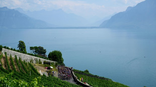 Lake Zurich sees water level hit record low amid drought